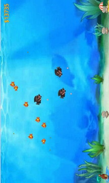 宠物水世界游戏截图2