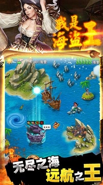 我是海盗王游戏截图5
