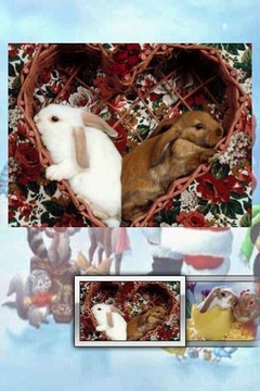 圣诞兔子拼图游戏截图3
