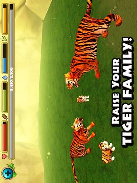 老虎模拟器 Tiger Simulator游戏截图5