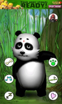 会说话的熊猫游戏截图4