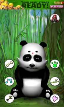 会说话的熊猫游戏截图3