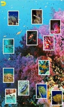 海洋拼图游戏截图4
