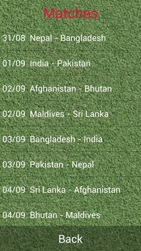 2013年南亞足球錦標賽游戏截图4