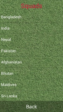 2013年南亞足球錦標賽游戏截图5