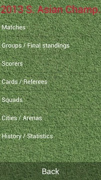 2013年南亞足球錦標賽游戏截图1