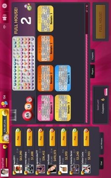 Bingo 75 & 90 by GameDesire游戏截图6