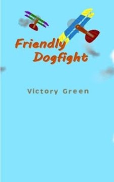 Friendly Dogfight (2player)游戏截图5