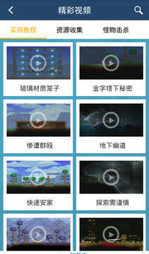 泰拉瑞亚攻略助手游戏截图4