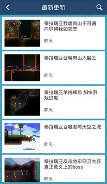 泰拉瑞亚攻略助手游戏截图2