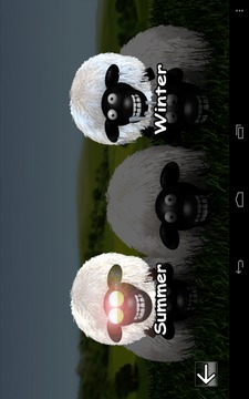 Stupid Sheep (free)游戏截图3