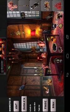 Hidden objects in Italy游戏截图4