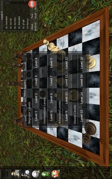 My Chess 3D游戏截图4