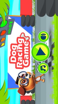 Dog Racing Game游戏截图1