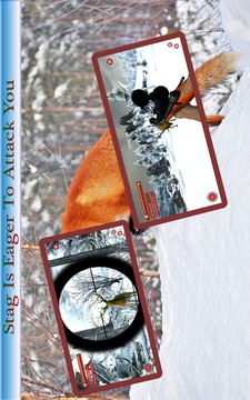 Animals Hunting 2015游戏截图3