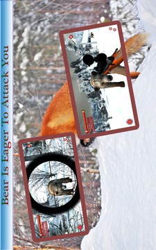 Animals Hunting 2015游戏截图5