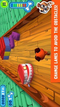 Dog Racing Game游戏截图4