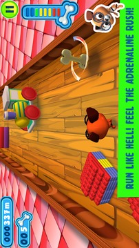 Dog Racing Game游戏截图5