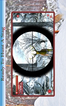 Animals Hunting 2015游戏截图2