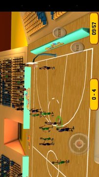 Basketball Sim 3D游戏截图7