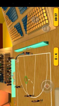 Basketball Sim 3D游戏截图6