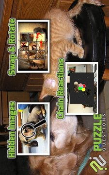 Free Dogs and Cats Puzzles游戏截图1