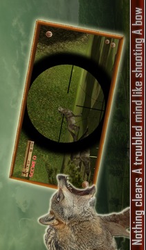 Wolf Hunter 3D游戏截图3