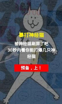 暴打神经猫游戏截图1