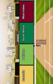 Domestic Cricket Tournament游戏截图2