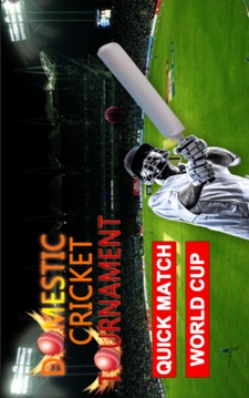 Domestic Cricket Tournament游戏截图1