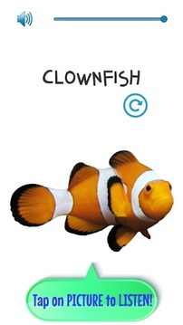 Sea Animals Game-For Toddlers游戏截图1