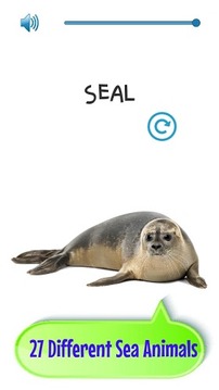 Sea Animals Game-For Toddlers游戏截图5