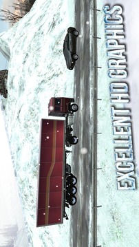 Winter Road Trucker 3D游戏截图3