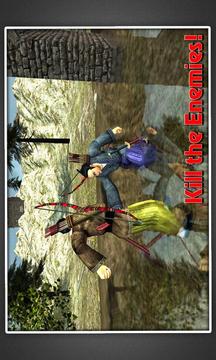 Samurai Warrior Assassin Siege游戏截图2