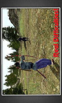 Samurai Warrior Assassin Siege游戏截图3