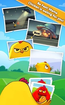 Run Run Chicken 2017游戏截图5
