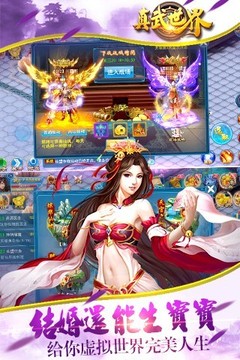 真武世界游戏截图5