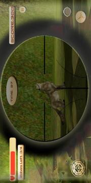 Wolf Sniper Hunt 3D游戏截图3