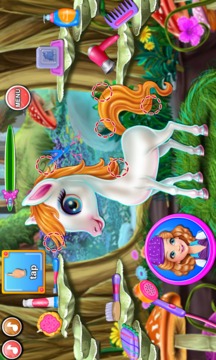 Sandra Pony Fairy Salon游戏截图3