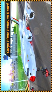 Goods Transport Cargo Plane 3D游戏截图5