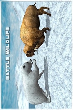 Angry Polar Bear Simulator 3D游戏截图2