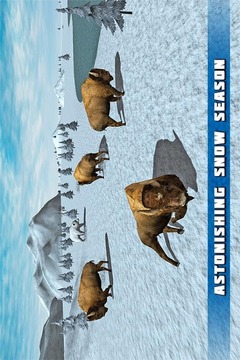 Angry Buffalo Simulator 3D游戏截图4