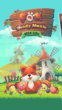 Fox Candy Mania - Wild Life游戏截图1