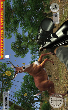 Wild Deer Hunt 2016 - Sniper游戏截图1