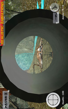 Wild Deer Hunt 2016 - Sniper游戏截图3