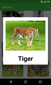 Animals Names游戏截图3