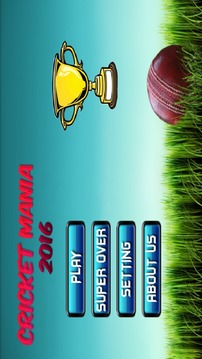 Cricket Mania 2017游戏截图1