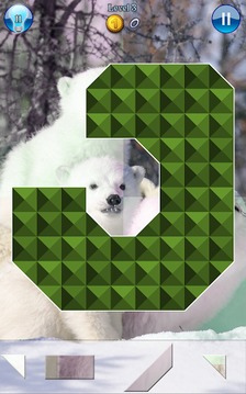 Hidden Pieces: Polar Bears游戏截图3