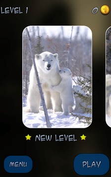 Hidden Pieces: Polar Bears游戏截图2