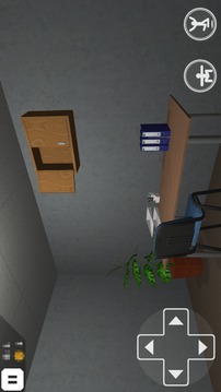 Room Escape - Gold Coins -游戏截图3